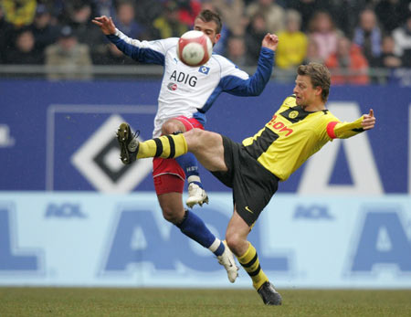 培养的优质 培养的优质